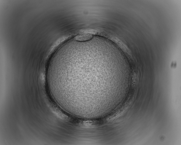 X0000101160064200807111038