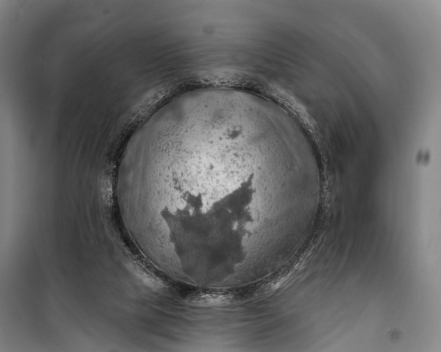 X0000101160065200807111038