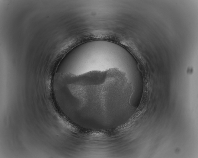 X0000101160066200807111038