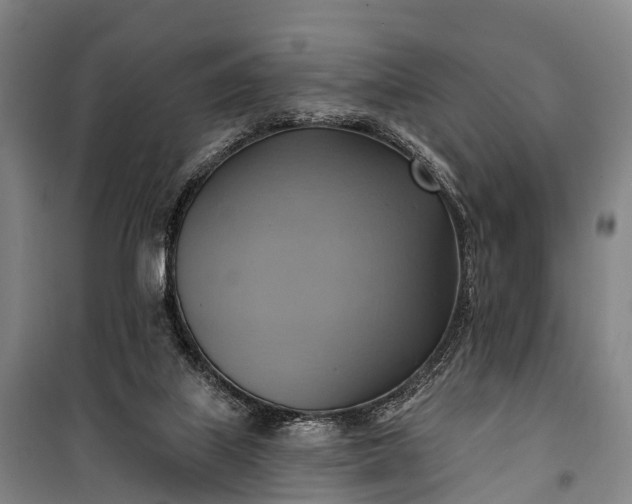 X0000101160067200807111038