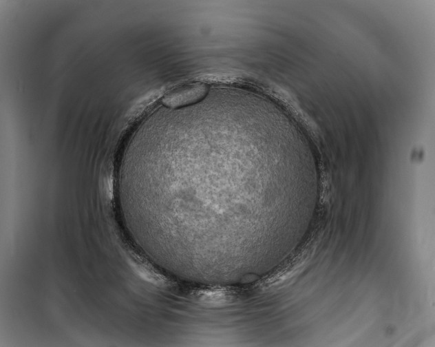 X0000101160068200807111038