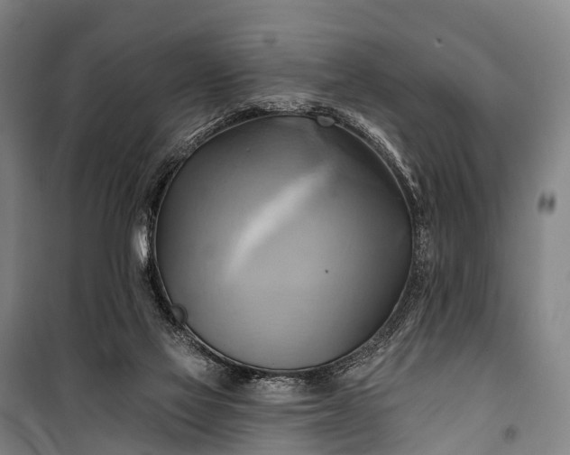 X0000101160069200807111038