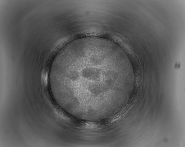 X0000101160070200807111038