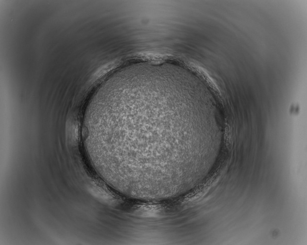 X0000101160071200807111038