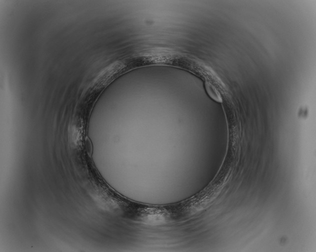 X0000101160073200807111038