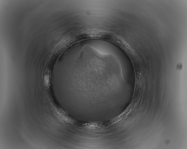 X0000101160074200807111038