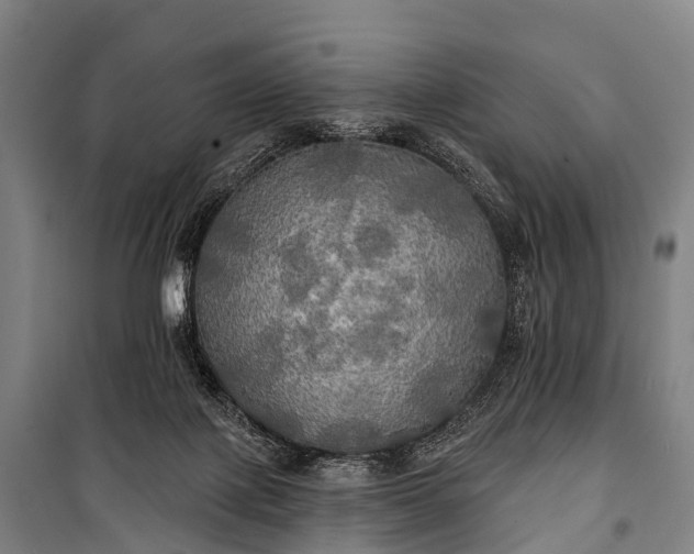 X0000101160075200807111039