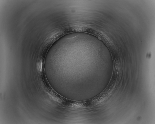 X0000101160076200807111039