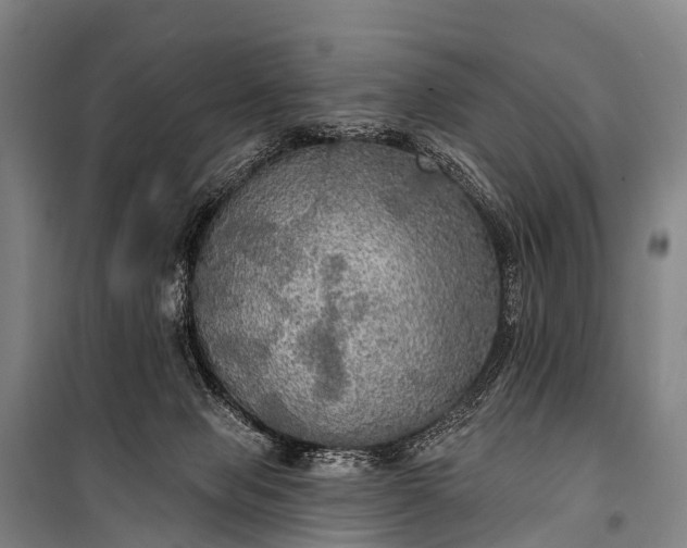 X0000101160077200807111039