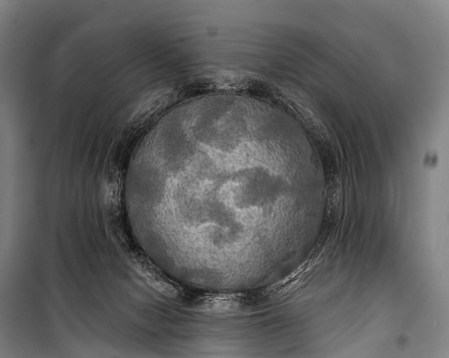 X0000101160078200807111039