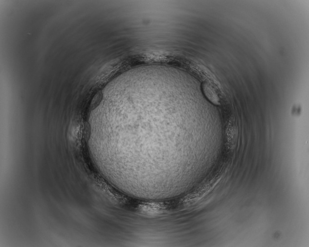 X0000101160079200807111039