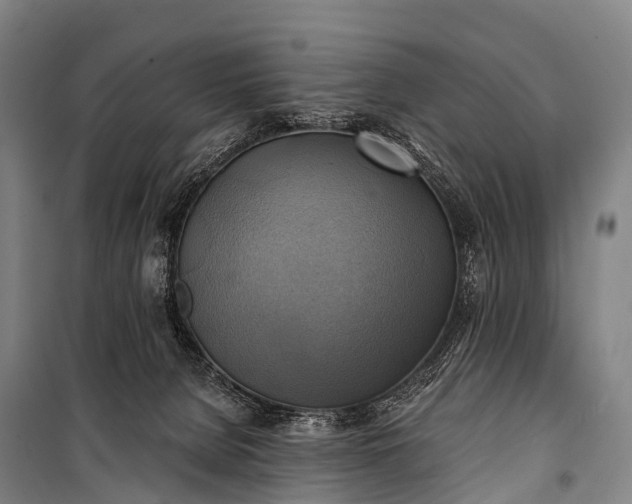 X0000101160080200807111039