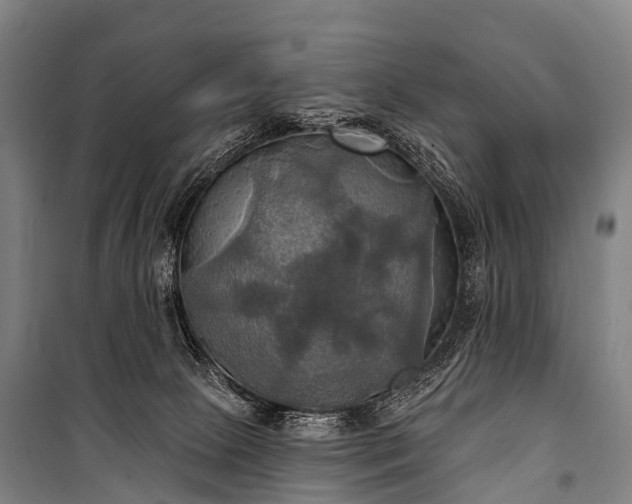 X0000101160081200807111039