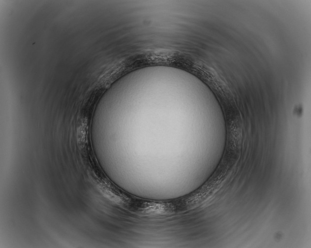 X0000101160083200807111039