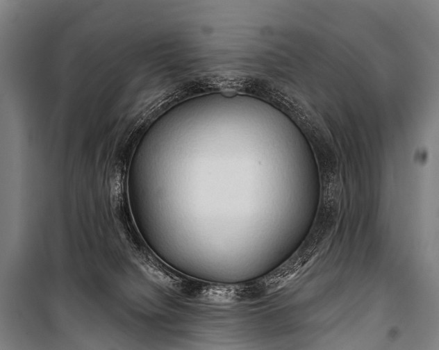 X0000101160084200807111039