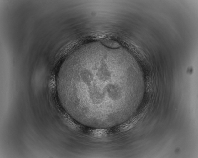 X0000101160085200807111039