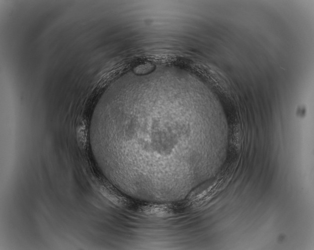 X0000101160086200807111039