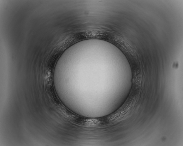 X0000101160087200807111039