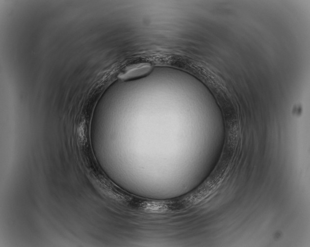 X0000101160088200807111039