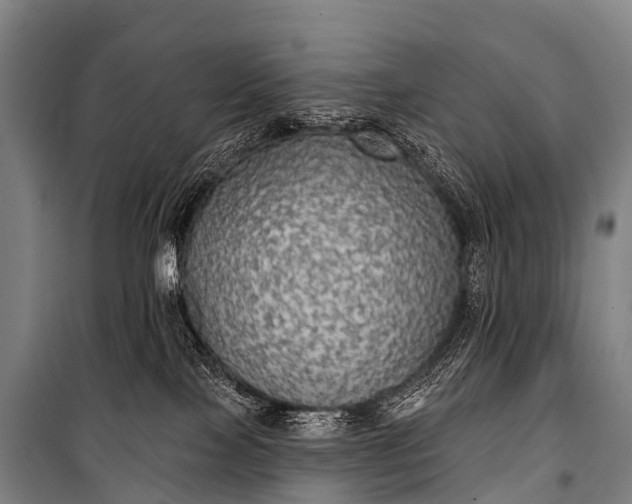 X0000101160089200807111039