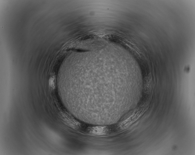 X0000101160090200807111039