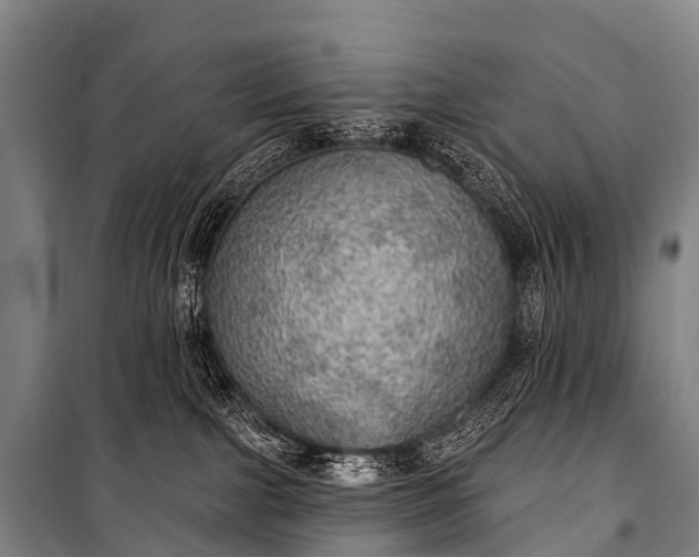 X0000101160091200807111039