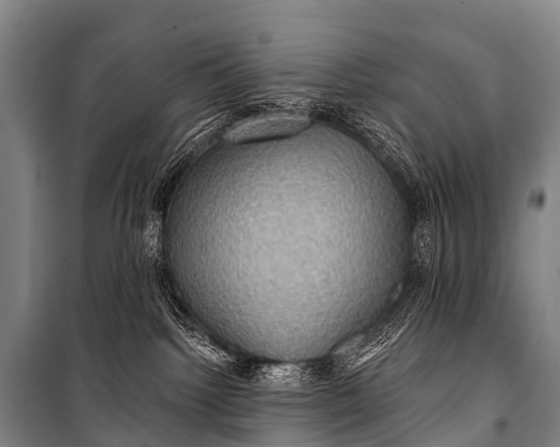 X0000101160092200807111039