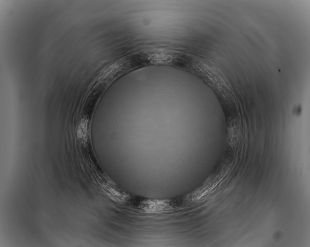 X0000101160093200807111039