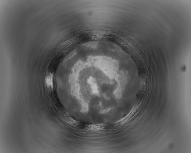 X0000101160094200807111039