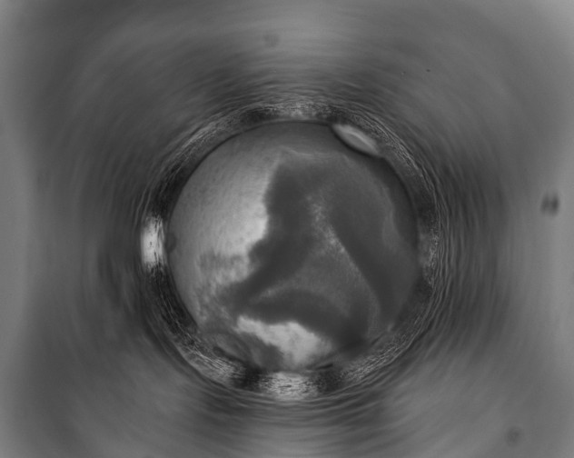 X0000101160095200807111039