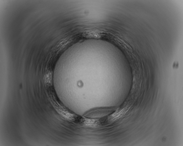 X0000101160096200807111039