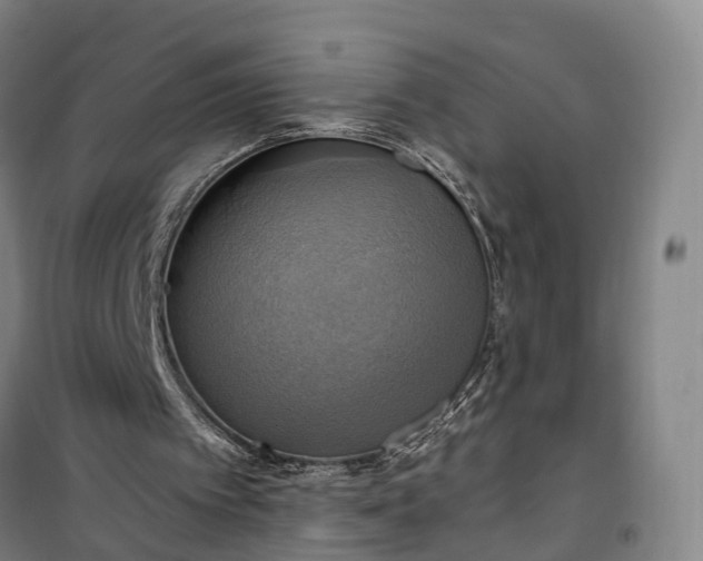 X0000101160097200807111038