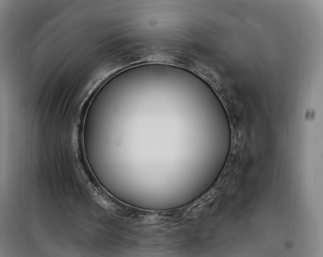 X0000101160098200807111038