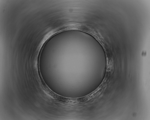 X0000101160099200807111038