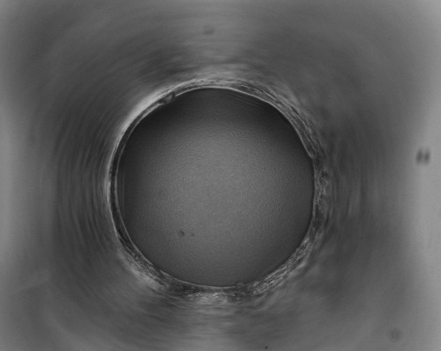 X0000101160100200807111038