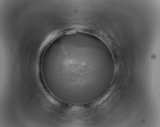 X0000101160101200807111038