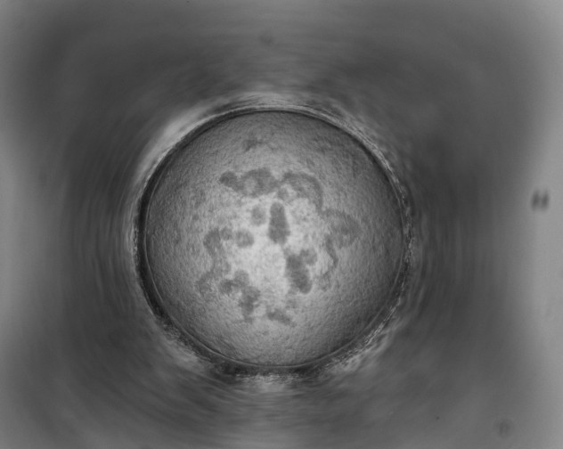 X0000101160103200807111038