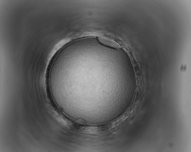 X0000101160104200807111038