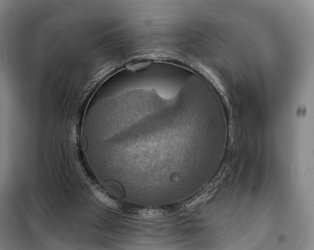 X0000101160105200807111038