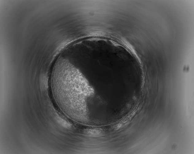 X0000101160106200807111038