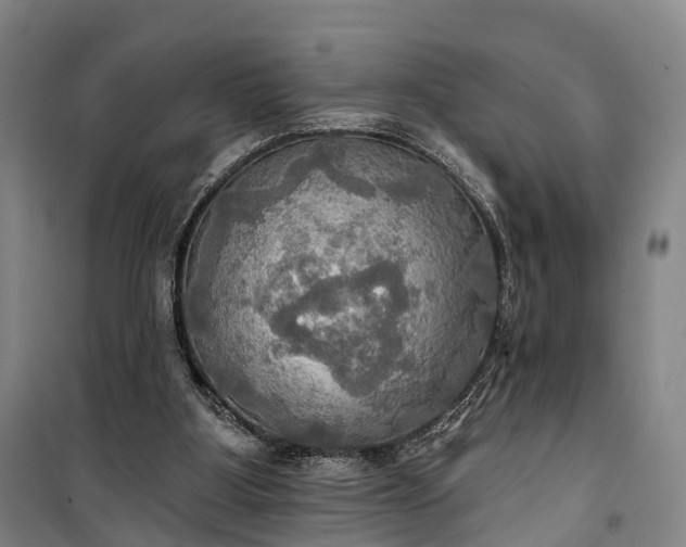 X0000101160107200807111038