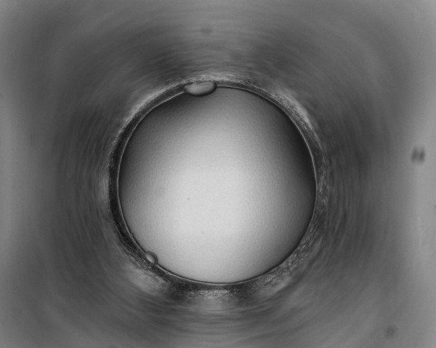 X0000101160108200807111038