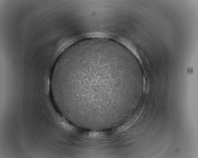 X0000101160109200807111038