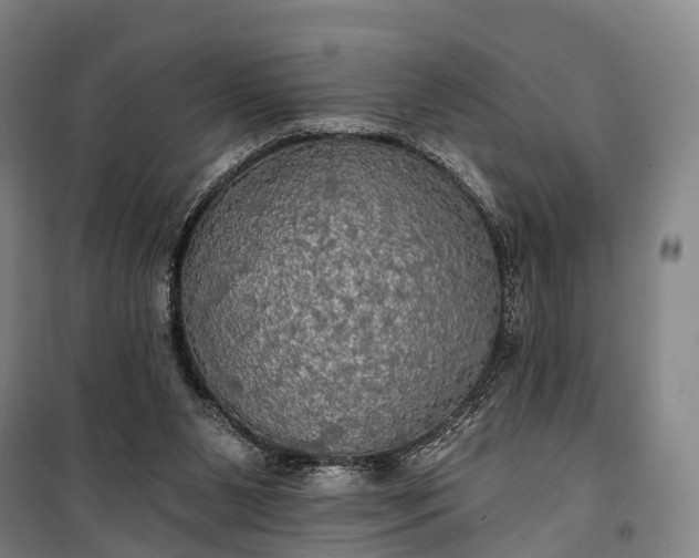 X0000101160111200807111038