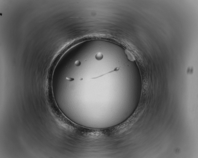 X0000101160112200807111038