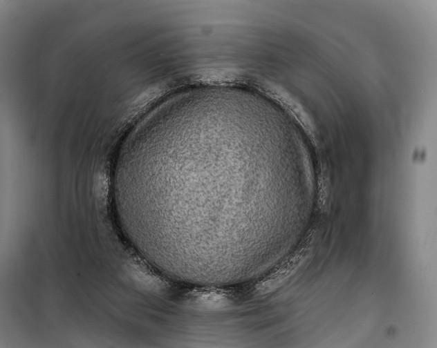 X0000101160113200807111038