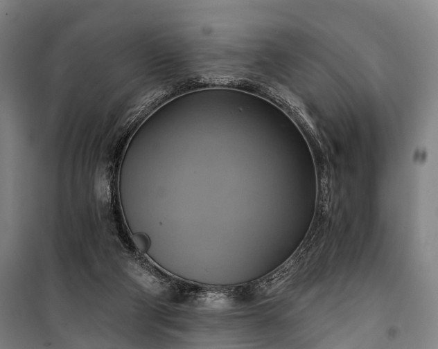 X0000101160114200807111038