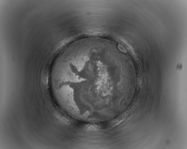 X0000101160115200807111038