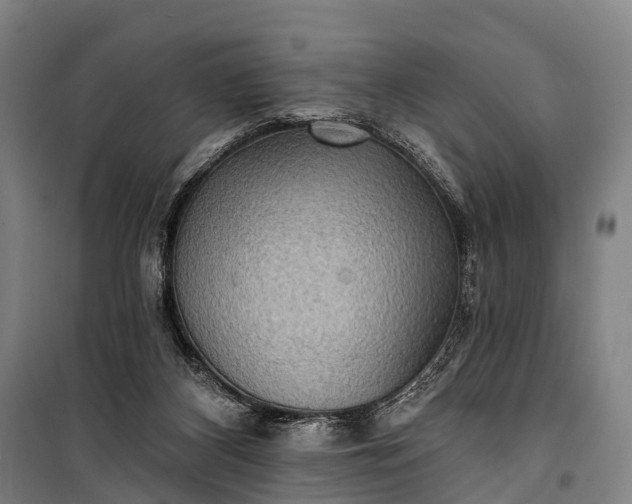 X0000101160116200807111038