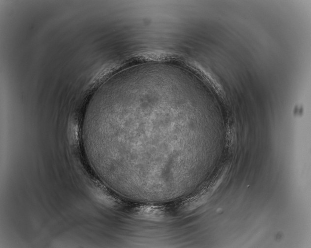 X0000101160117200807111038